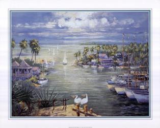 Safe Harbor With Pelicans | Obraz na stenu