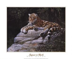 Jaguar on Rock | Obraz na stenu