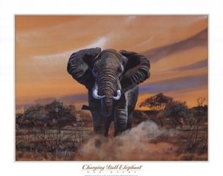 Charging Bull Elephant | Obraz na stenu