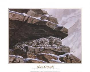 Snow Leopards | Obraz na stenu