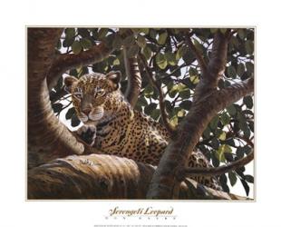 Serengeti Leopard | Obraz na stenu