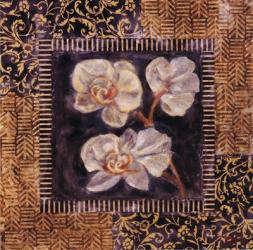Javanese Orchid II | Obraz na stenu