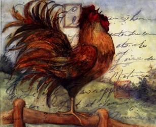 Le Rooster I | Obraz na stenu