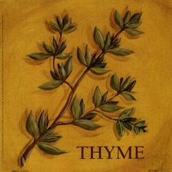 Thyme | Obraz na stenu