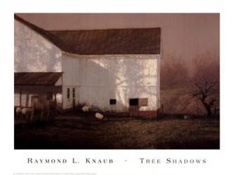 Tree Shadows | Obraz na stenu