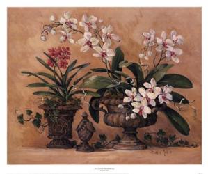 An Orchid Renaissance | Obraz na stenu