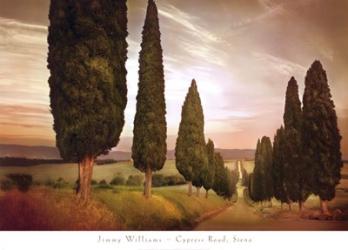 Cypress Road, Siena | Obraz na stenu