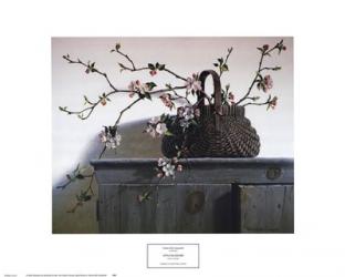 Apple Blossoms | Obraz na stenu