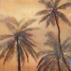 Whispering Palms | Obraz na stenu
