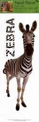Safari Zebra | Obraz na stenu