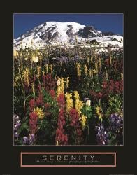 Serenity - Mt. Rainier | Obraz na stenu