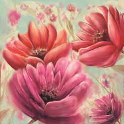 Pink Poppy Bloom | Obraz na stenu