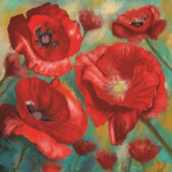 Red Poppies Bloom of Joy | Obraz na stenu