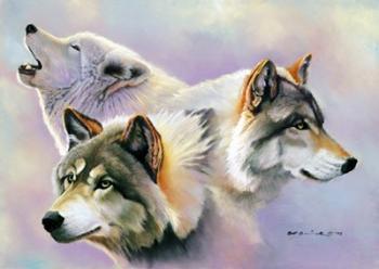 Wolves are Forever | Obraz na stenu