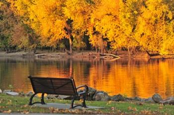 Fall Glow | Obraz na stenu