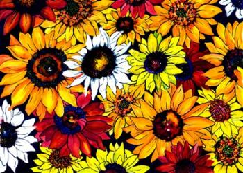 Sunflower Mix | Obraz na stenu