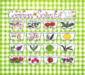 Common Scents | Obraz na stenu