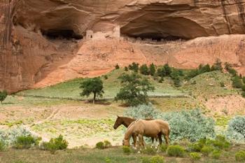 Canyon De Chelly | Obraz na stenu