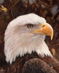 Eagle | Obraz na stenu