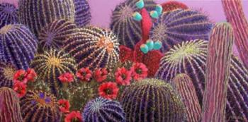 Barrel Cactus 1 | Obraz na stenu