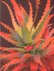 Sunset Agave | Obraz na stenu