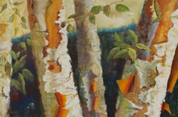 Birch Forest | Obraz na stenu