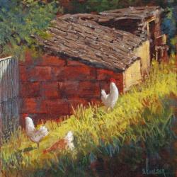 Chickens | Obraz na stenu
