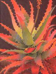 Sunset Agave | Obraz na stenu