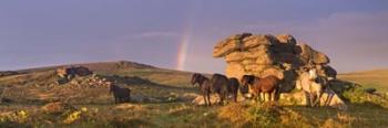 Rainbow | Obraz na stenu