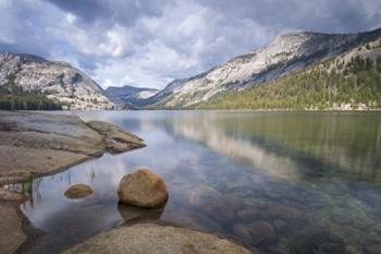 Tenaya Lake | Obraz na stenu