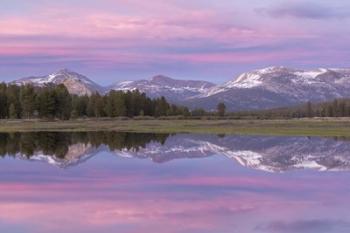 Tuolumne Meadows | Obraz na stenu