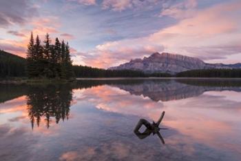 Mount Rundle Sunrise | Obraz na stenu