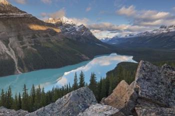 Peyto Lake | Obraz na stenu