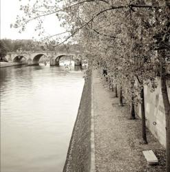 Promenade Seine II | Obraz na stenu