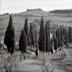 Tuscany IV | Obraz na stenu