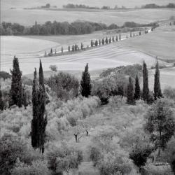 Tuscany VI | Obraz na stenu