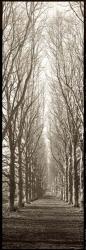 Hampton Gates Promenade | Obraz na stenu