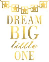 Dream Big Little One | Obraz na stenu