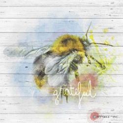 Bee Grateful | Obraz na stenu