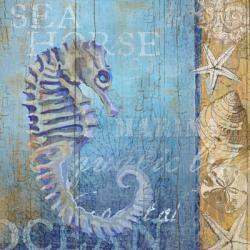 Sea Horse and Sea | Obraz na stenu