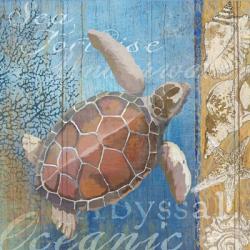 Turtle and Sea | Obraz na stenu
