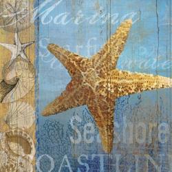Starfish and sea | Obraz na stenu