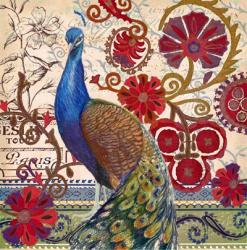 Peacock Decore II | Obraz na stenu