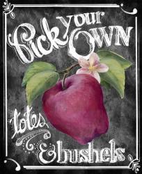 Pick Your Own | Obraz na stenu