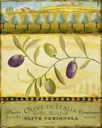 Olive Grove Puglia | Obraz na stenu