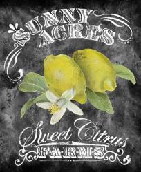 Sunny Acres | Obraz na stenu