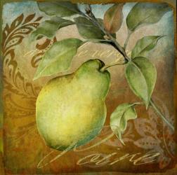From The Grove Pear | Obraz na stenu