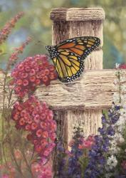 Butterfly and Fence Cross | Obraz na stenu