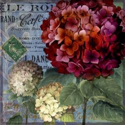 Rouge From the Garden I | Obraz na stenu