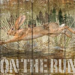 Rabbit on the Run | Obraz na stenu